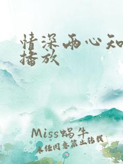 情深两心知免费播放