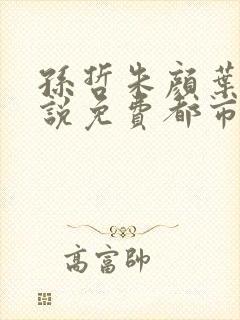 孙哲朱颜叶巧小说免费都市之医武风流