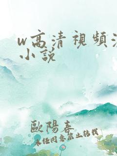 w高清视频激情小说