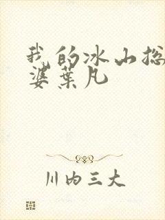 我的冰山总裁老婆叶凡