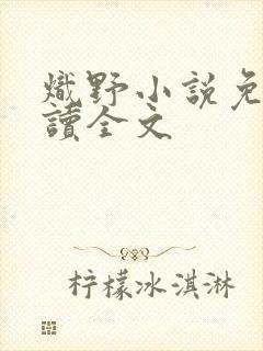炽野小说免费阅读全文