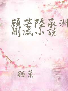 顾芒陆承洲 未删减小说