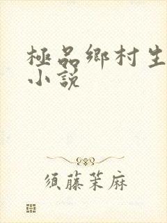 极品乡村生活 小说