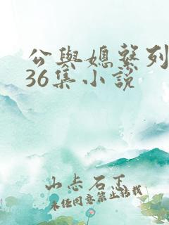 公与媳系列1—36集小说