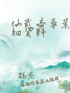 仙武帝尊叶辰详细资料