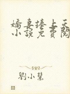 娇妻捧上天全文小说免费阅读