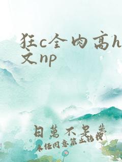 狂c全肉高h辣文np