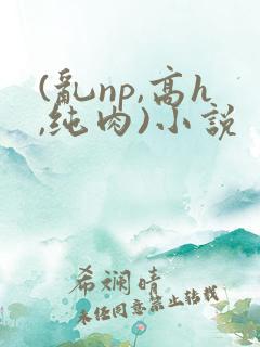 (乱np,高h,纯肉)小说