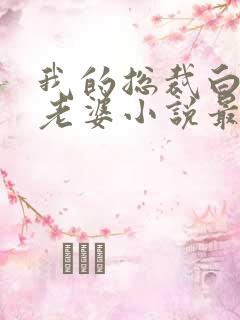 我的总裁白富美老婆小说最新章节列表免费