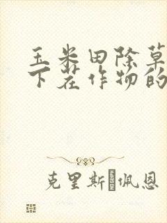 玉米田除草剂对下茬作物的影响