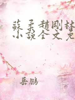 苏柔赵刚林风的小说全文免费阅读