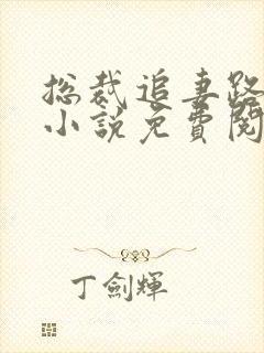 总裁追妻路漫漫小说免费阅读全文