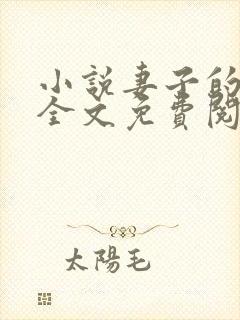 小说妻子的秘密全文免费阅读全文