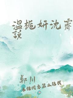 温栀妍沈霁寒小说