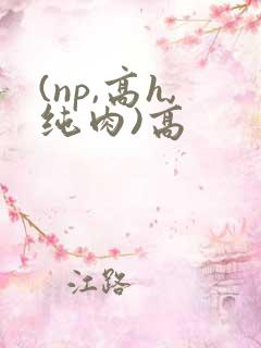 (np,高h,纯肉)高