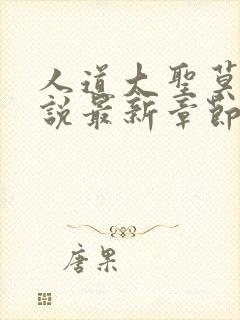 人道大圣莫默小说最新章节无弹窗