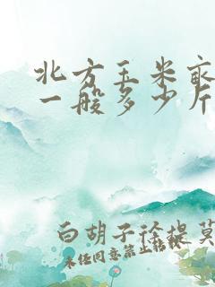 北方玉米亩产量一般多少斤