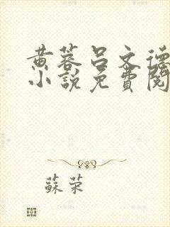黄蓉吕文德父子小说免费阅读
