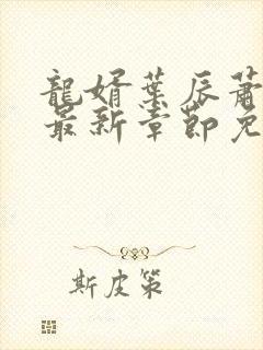 龙婿叶辰萧初然最新章节免费阅读