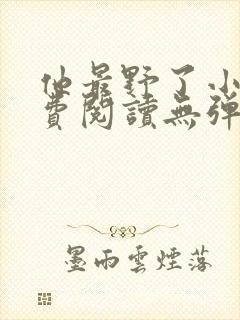 他最野了小说免费阅读无弹窗