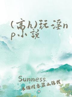 (高h)玩淫np小说