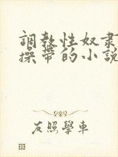 调教性奴隶戴贞操带的小说