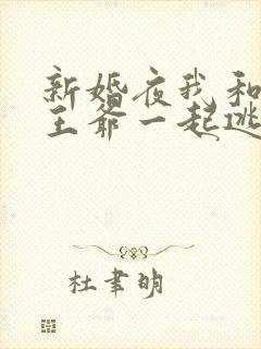 新婚夜我和病娇王爷一起逃婚txt