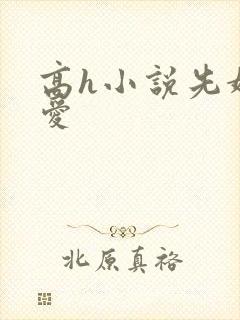 高h小说先婚后爱