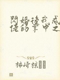 闪婚后我成了大佬的掌中之物免费高清
