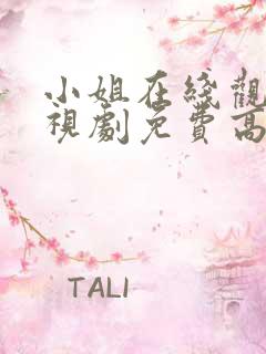 小姐在线观看电视剧免费高清全集