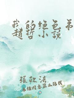 我的绝色弟媳妇赵哲小说