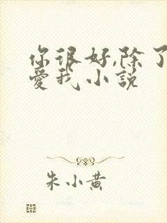 你很好,除了不爱我小说