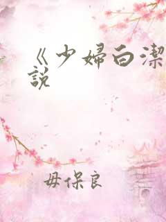 《少妇白洁》小说