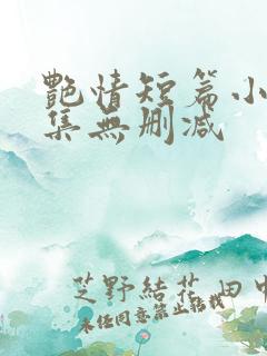 艳情短篇小说合集无删减
