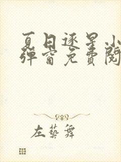 夏日逐星小说无弹窗免费阅读全文