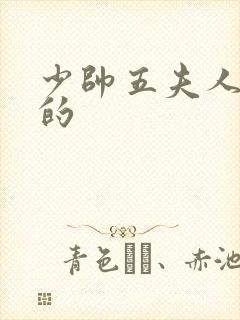 少帅五夫人谁演的