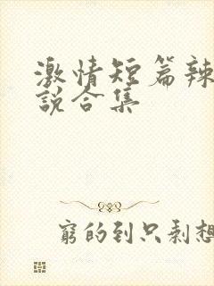 激情短篇辣文小说合集