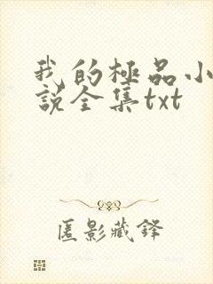 我的极品小姨小说全集txt