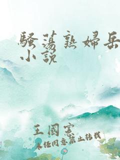 骚荡熟妇岳妇乱小说