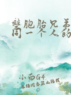双胞胎兄弟爱上同一个人的韩剧