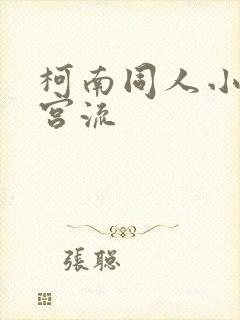 柯南同人小说后宫流
