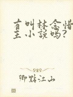 有叫林念惜的女主小说吗?