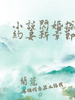 小说闪婚总裁契约妻新章节列表