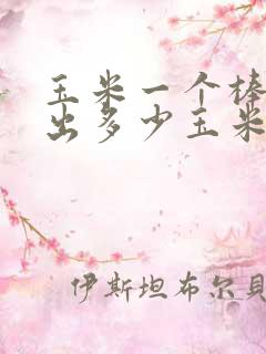玉米一个棒子能出多少玉米