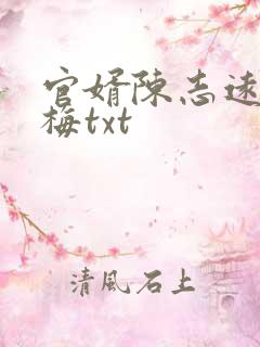 官婿陈志远胡云梅txt