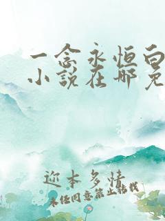 一念永恒白小纯小说在哪免费下载