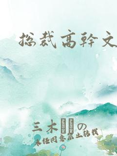 总裁高干文推荐