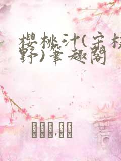 樱桃汁(宋枝江野)笔趣阁