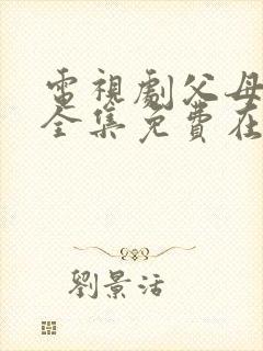 电视剧父母爱情全集免费在线观看