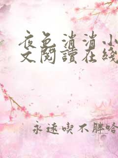 夜色消消小说全文阅读在线阅读